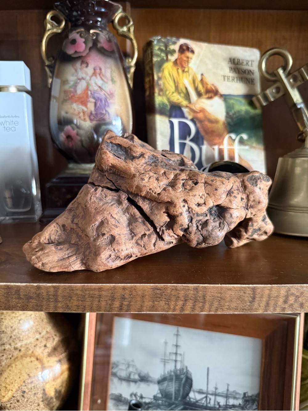 Antique Burl Decor or Mount